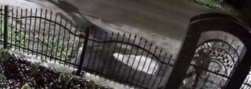 Перекрестился и через забор: под Днепром компания с ребенком обворовала храм (видео)