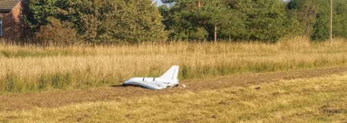 Російська Гербера у "Польщі"