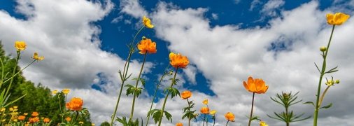 Погода в Украине