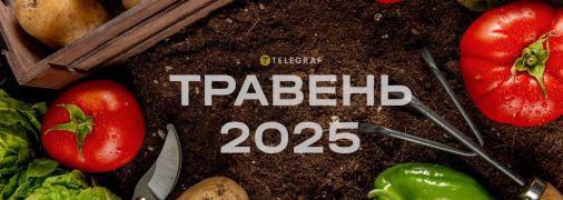Коли найкраще саджати кукурудзу у травні — сприятливі дні