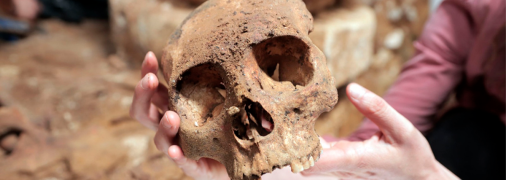 Один із черепів, знайдених у гробниці