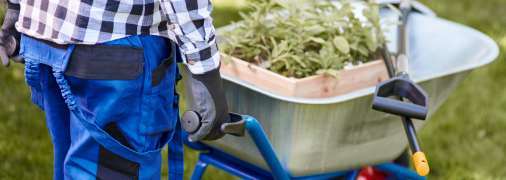 Боротьба з бур’янами триває цілий рік