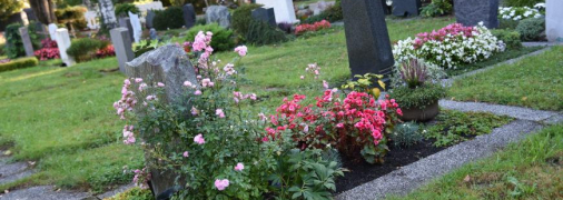Что посадить на кладбище