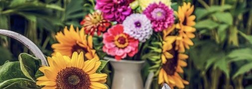 Какие завтра праздники: традиции и приметы на 17 июня