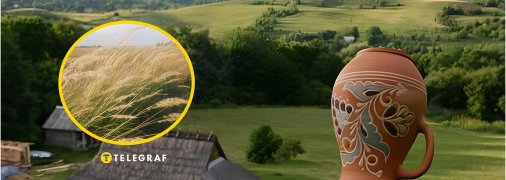 Растение вейник наземный заметили в Полтавской области