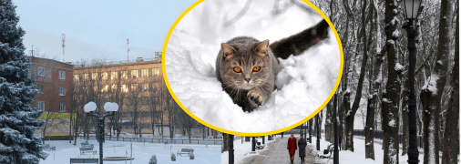 Кіровоградщина