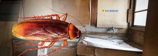 Ніякі приманки не допоможуть