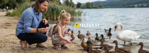 Чим небезпечні великі зграї птахів біля водойм