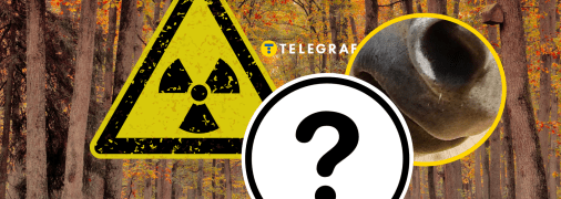 Осінній ліс, значок радіації