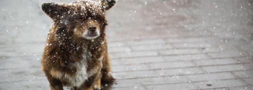 В Украине резко похолодает и местами выпадет снег: синоптик дал прогноз погоды