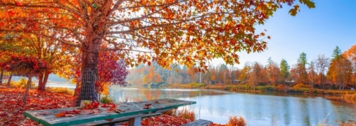 В октябре температурные показатели будут очень комфортными