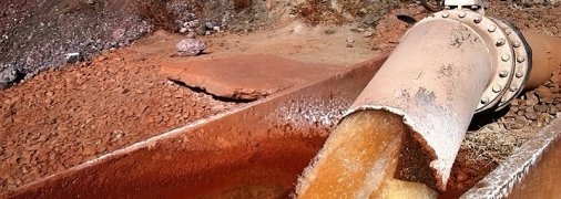 СМИ: В Бугском лимане – экологическая катастрофа из-за токсичных отходов НГЗ 