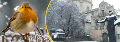 Погода во Львове