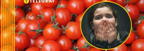 Помидоры в Сильпо