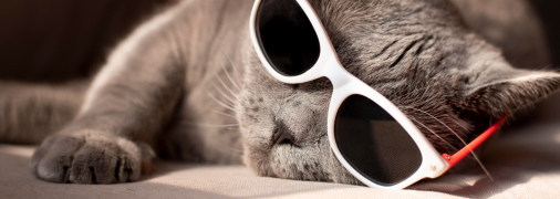 До кінця літа залишилось 19 днів