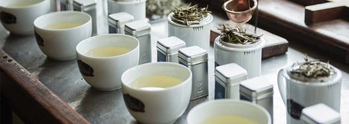 Профессия титестер или как создают новые чайные вкусы