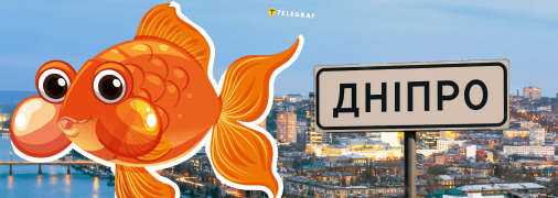"Золотая рыбка" есть в Днепре