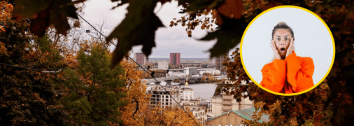 У столиці розплодилася дрібна комаха