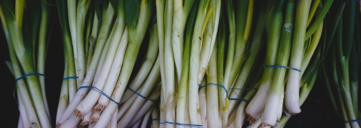 Лук будет расти красивый, большой и вкусный