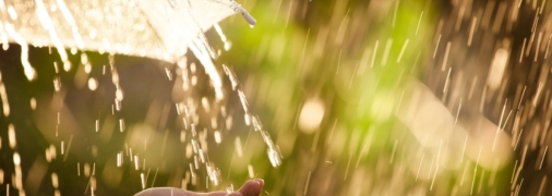 Дощі змінюватимуться сонцем і навпаки