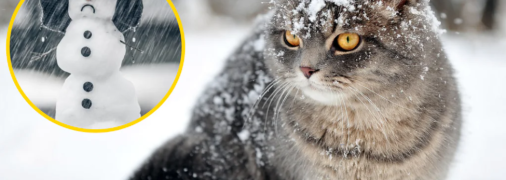 В Україну йде мокрий сніг