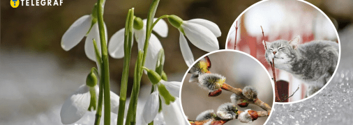 Погода взимку