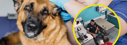 Стали відомі нові деталі скандалу