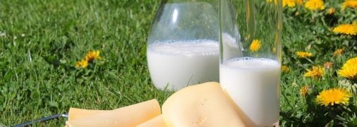 Топ-3 факта о молочной продукции, которые стоит знать