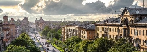 У Запоріжжі посеред міста бігали дикі кабани