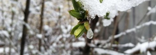 Погода в декабре