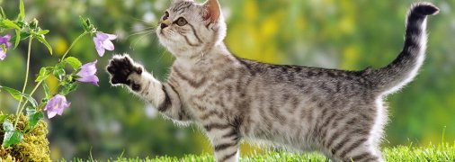 Прогноз погоды в Украине