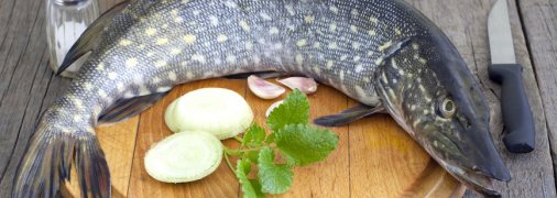 ТОП-5 вкусных блюд из щуки