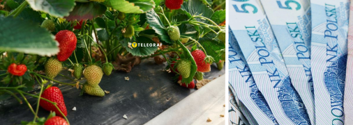 Робота в Польщі