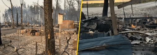 Огонь уничтожил более тысячи домов: на Харьковщине выгорел еще один поселок (фото, видео)