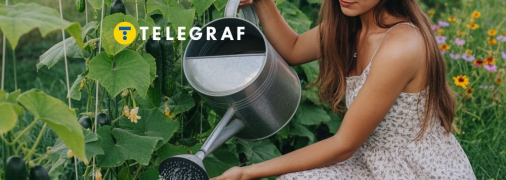 Як правильно поливати огірки — поради