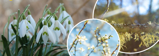 Погода в марте