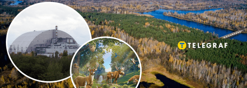 Чорнобильський заповідник