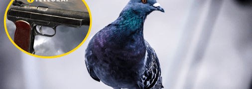 Люди не постраждали