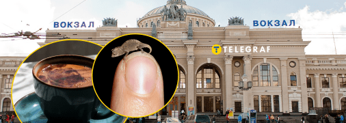 Кав'ярня з рептиліями в Одесі