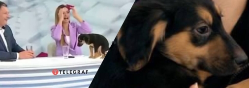 Эфир национального марафона