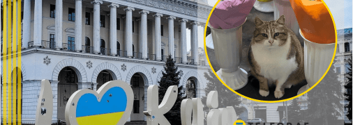 Кішка біля квітів, Київ