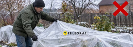 Утепление растений