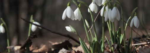 Синоптики рассказали, какой погоды ждать в ближайшие дни