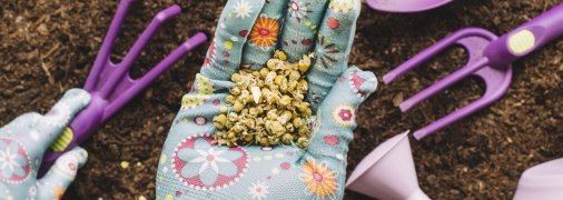 Когда лучше сажать овощи и фрукты в марте