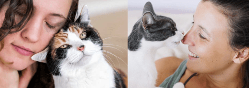 Уникальное поведение домашнего питомца