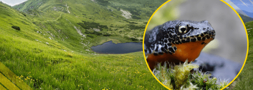 Ілюстративне фото