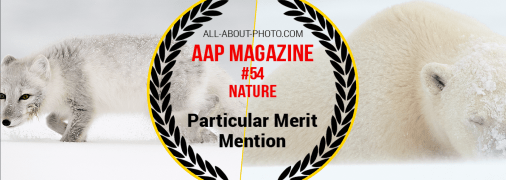 Ілюстративне фото