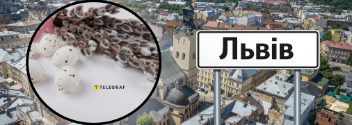 Погода во Львове