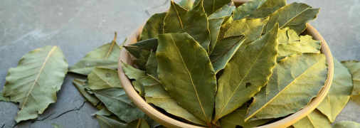 Вам допоможе звичайний лавровий лист