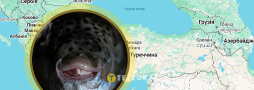 Рибу Lagocephalus sceleratus вже масово ловлять у Середземному морі та сусідніх з Україною країнах